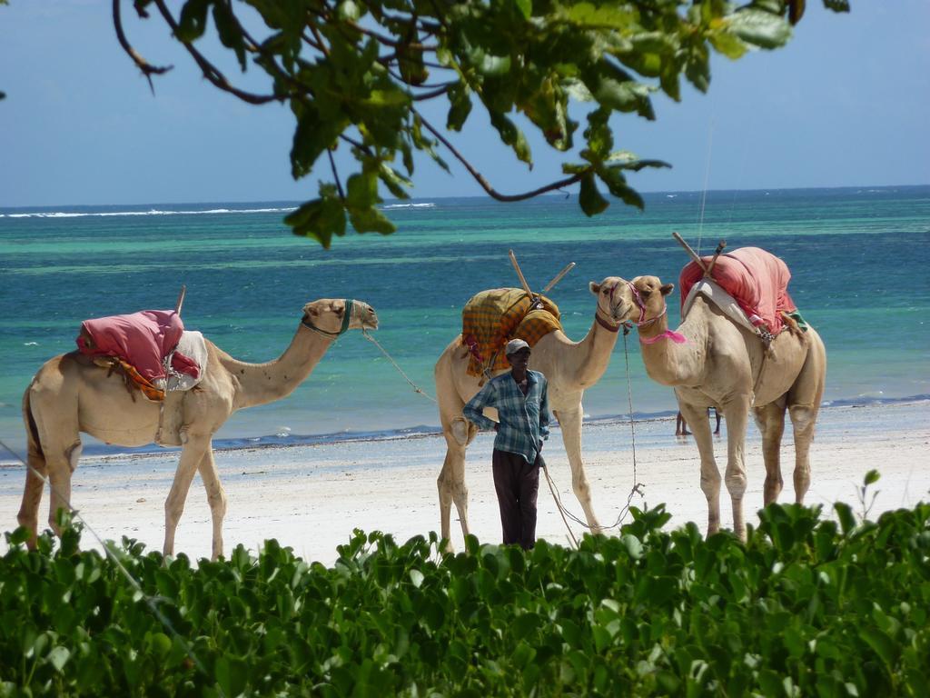 Lantana Galu Beach Diani Beach Ngoại thất bức ảnh